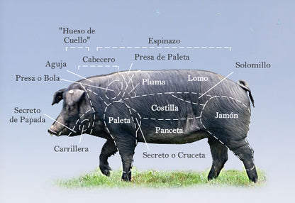 Iberico Secreto Bellota